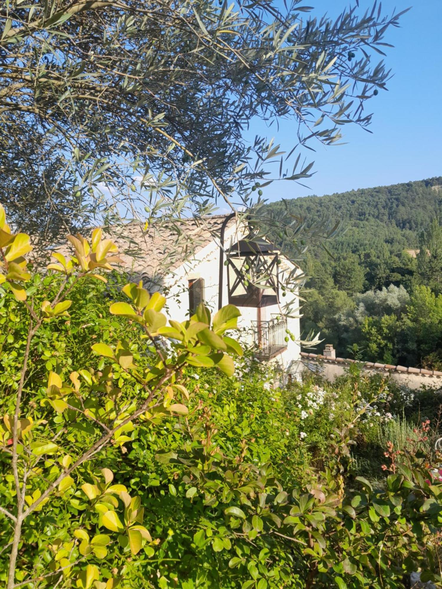 Chambre D'Hotes La Romarine Barnave Екстер'єр фото